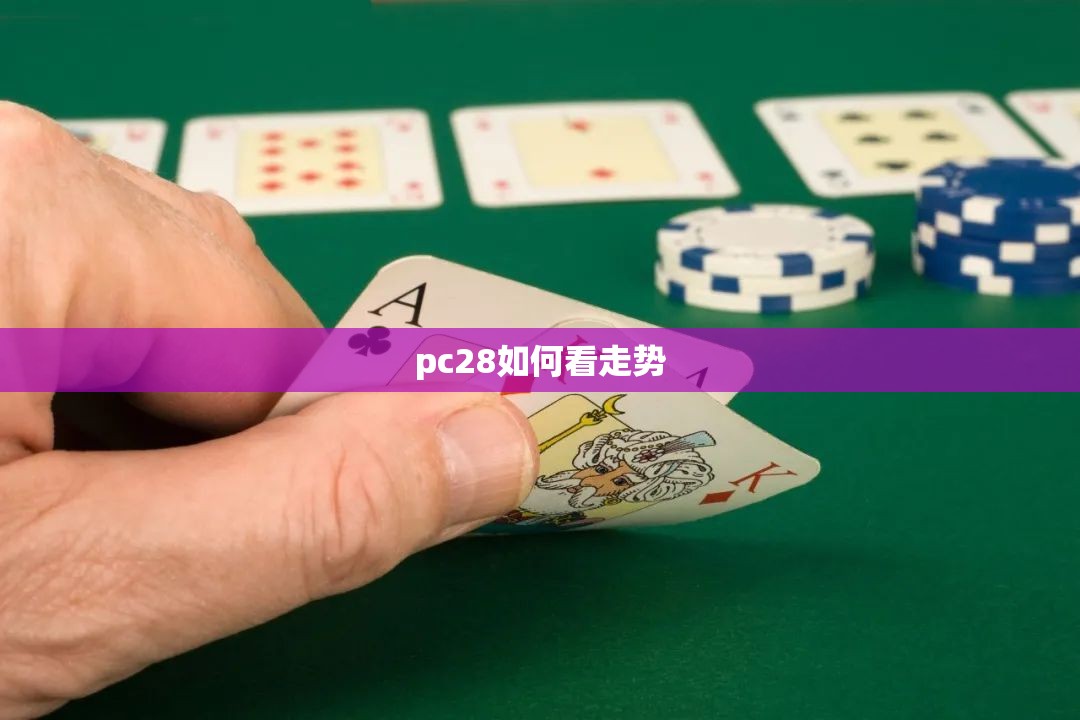 pc28如何看走势